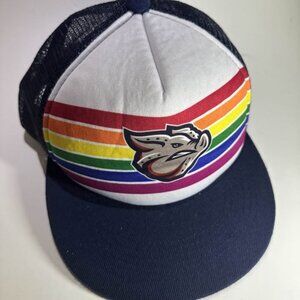 Phillies Minor League Triple-A affiliate -Lehigh Valley IronPigs Pride Night Tru